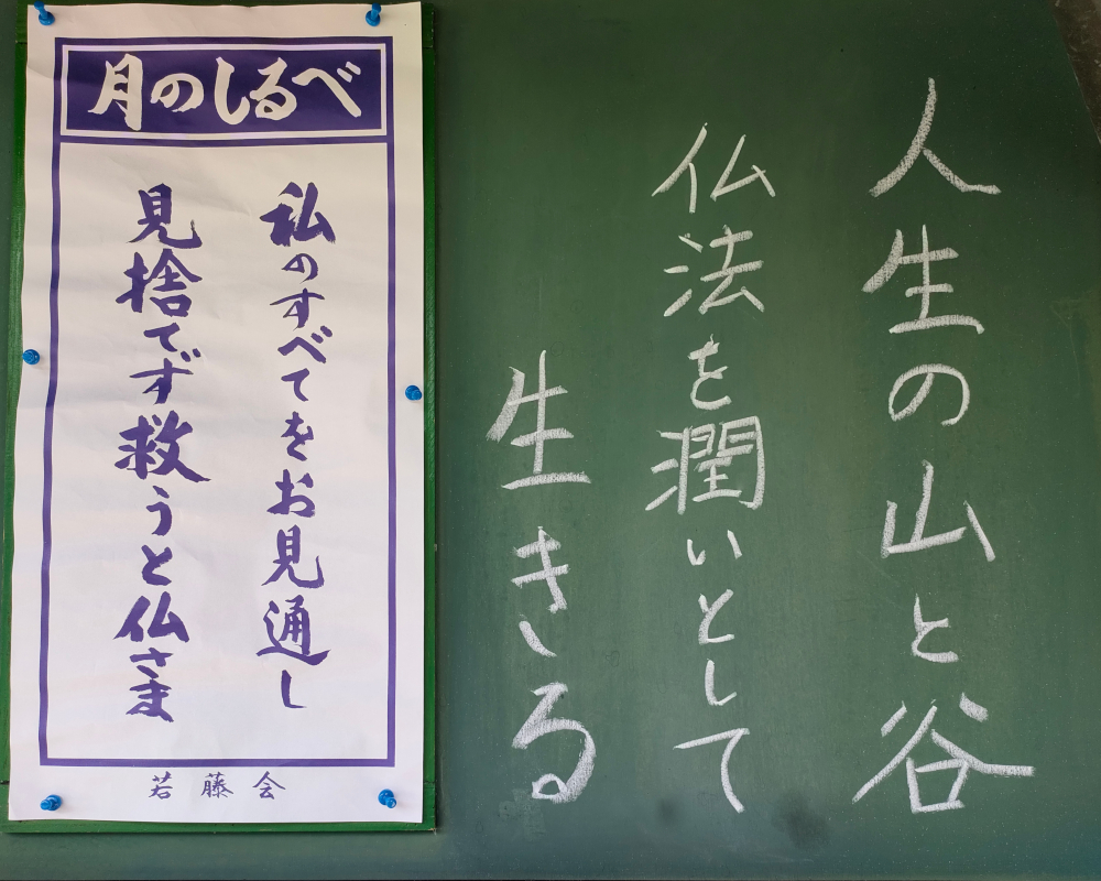 人生は山と谷 仏法を潤いとして生きる